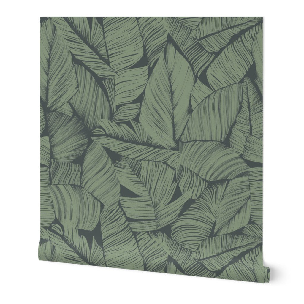 Botanical Foliage Wallpaper - Dark